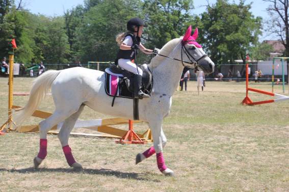 В Херсоне прошли соревнования по конному спорту 