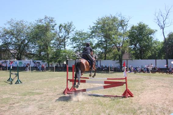 В Херсоне прошли соревнования по конному спорту 